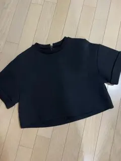 10日まで限定出品 maison de dolce ショート丈Tシャツ ブラック 10日まで限定出品 maison de dolce ショート丈Tシャツ ブラック - メルカリ