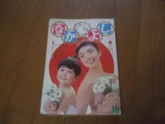 Item thumbnail for item a38b82b8-9fff-46b9-931f-099c8a9d1272