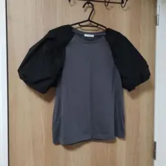 Te chichi バルーンスリーブTシャツ ZARA gu UNIQLO