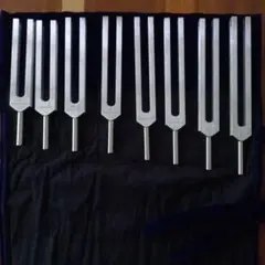 BioSonics 音叉 8本セット ソルフェジオ周波数 - メルカリ