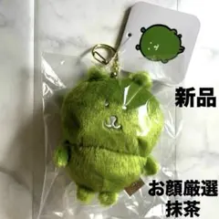 ナガノキャラクターズ カラーなナガノのくまマスコット（抹茶） 6点 ナガノキャラクターズ カラーなナガノのくまマスコット（ミント