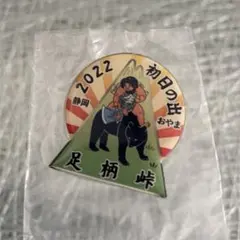 足柄峠　ピンバッジ 初日の出のサムネイル