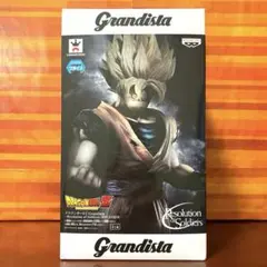 ⭐新品⭐掘出物⭐0525 Grandista グランディスタ 孫悟空 黒髪 - メルカリ