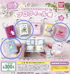 プロフィール帳 サンリオ 3個セット