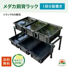 ☆メダカ飼育ラック 黒2段12個置き☆ めだか飼育ケース 産卵 撮影