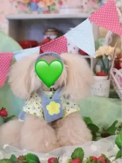 Item thumbnail for item 06dd7d2d-562d-487f-8250-cd8733a8c53c