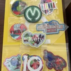 ミセス　初回盤　ワッペン　9枚