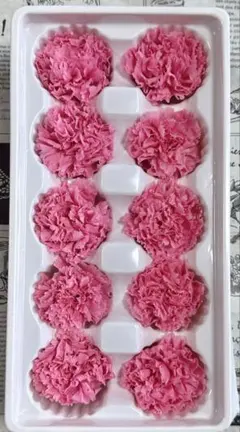 sakusaku様 リクエスト 2点 まとめ商品