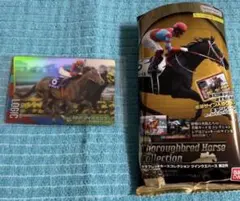 Item thumbnail for item 86f35c39-ad39-4e94-990e-3b865424e1c8