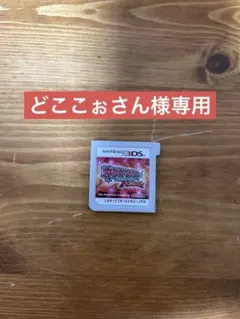 【どどこぉさん様専用】 ポケモンOR パッケージなし
