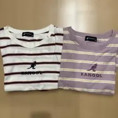 カンゴール Tシャツ