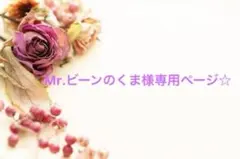 Mr.ビーンのくま様 リクエスト 2点 まとめ商品