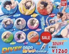DIVE カプセル缶バッジコレクション 全9種セット　30%ＯＦＦ　ガチャガチャ