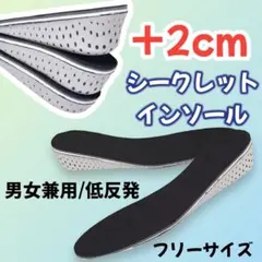 シークレット インソール 2cm 22.5〜27cm 中敷き 低反発 靴用品