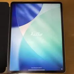 iPad Pro (第3世代) 12.9インチ 1TB Wi-Fiのサムネイル