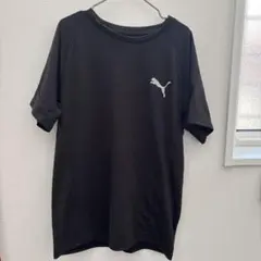 プーマ　PUMA半袖Tシャツ150cm