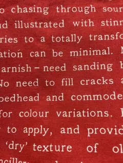 生地　英文字　赤