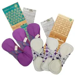 Item thumbnail for item 862807cf-1fe0-41cf-9b38-079a07f815fd