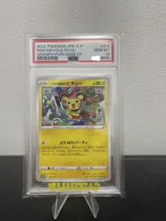 いたずら好きのピチュー：psa10 ポケモンカードゲーム×はじめしゃちょ