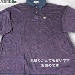 LACOSTE ラコステ ボーダー ポロシャツ Lサイズ
