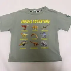 【アニア】恐竜大集合 Tシャツ 110 カーキ タカラトミー ANIA グリーン