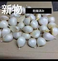 新物　青森県産にんにく　大粒　５００gのサムネイル
