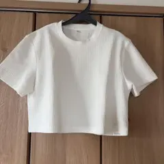 ショート丈　Tシャツのサムネイル