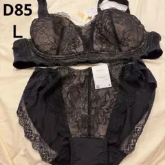 Wacoal Wing ブラジャー ショーツ セット D85 Ｌのサムネイル