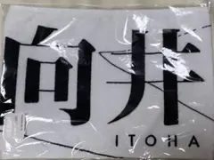 櫻坂46 向井純葉 マフラータオル 4thアリーナツアー2024