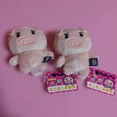 タグ付き　BIBUTA　ビブタ　ミニミニお手玉のサムネイル