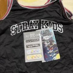 straykids スキズ dominATE プレミアム席 バッグ 絆創膏