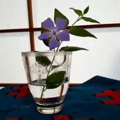 Item thumbnail for item 7f91e016-cde1-4fc0-8b95-374e2cfc3a50