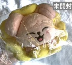 2025年最新】skzoo ポーチ スンミンの人気アイテム - メルカリ