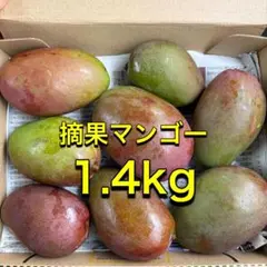 2026年最新】摘果マンゴーの人気アイテム - メルカリ