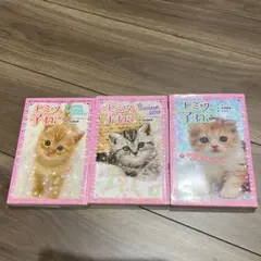 Item thumbnail for item cc120cc6-4bbb-4ccb-a1ee-9507a63f47e1