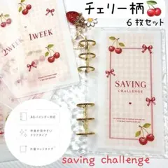 再販♡ A6チェリー柄 韓国風 バインダー貯金 家計管理 savingリフィル