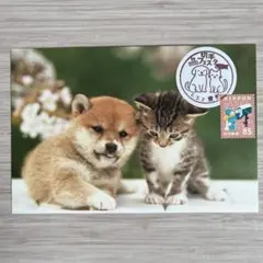 ヒグチユウコ 記念切手 大阪絵本の世界 記念押印 せかいいちのねこ