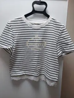 SNIDEL CHACOTT ストライプ 半袖Tシャツのサムネイル