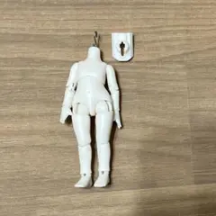 アンティーユ ボディ