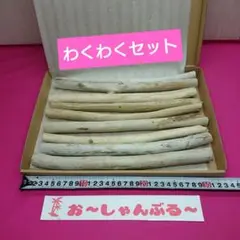 流木セットno.415