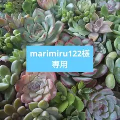 marimiru122様 専用