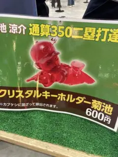クリスタル菊池　広島東洋カープ カプケシ
