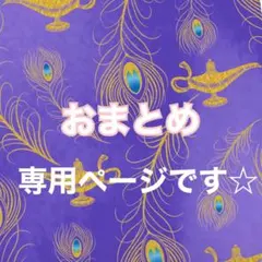 ami様 リクエスト 2点 まとめ商品
