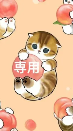 専用