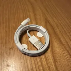 Apple Lightningケーブル ホワイト