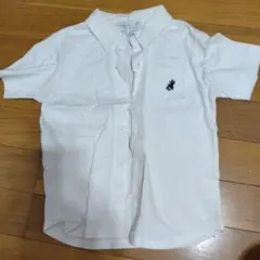 アニエスベー　ティシャツ生地シャツ