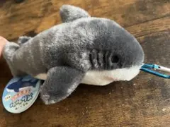 ふるふる！ふわふわサメ ぬいぐるみ ブラック