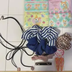 Hummingmintミニティッシュセット&ヘアゴム・ピン・チョーカー