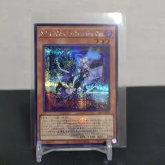 MALICE P Cheshie Cat ロゴあり　シークレットレア