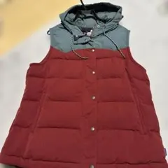 パタゴニア ダウンベスト キノコ柄